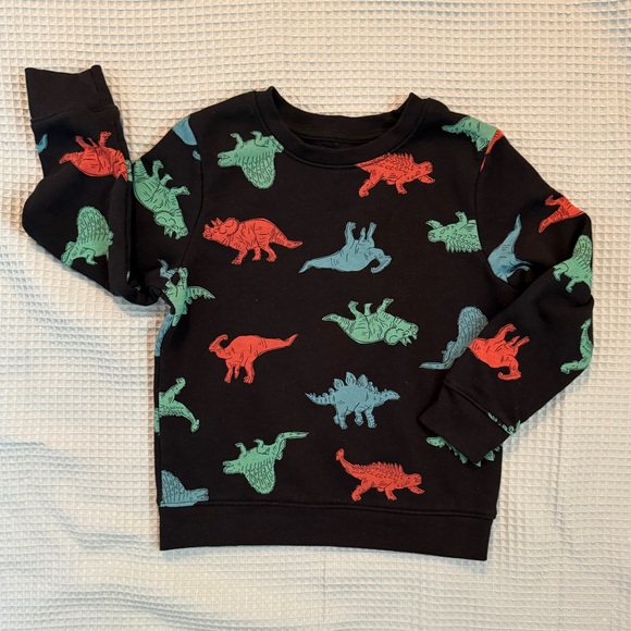 Cat & Jack Other - Cat & Jack Dinosaur Print Sweatshirt - Black, Red, Green